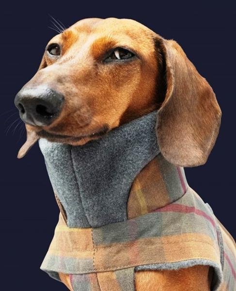 Cloud7 Hundemantel Brooklyn Waxed Tartan